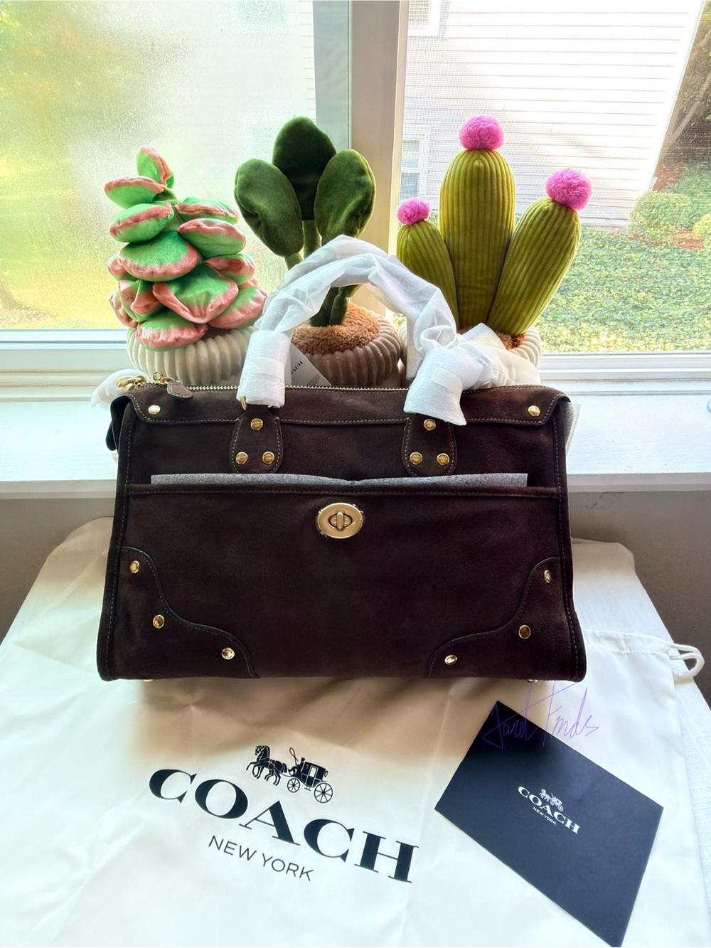 NWT 🤎 Coach Rhyder Satchel Bag 38 in Dark Chocolate